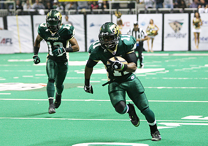 Sabercats