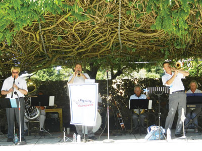 Concerts in the Park - Fog City Stompers