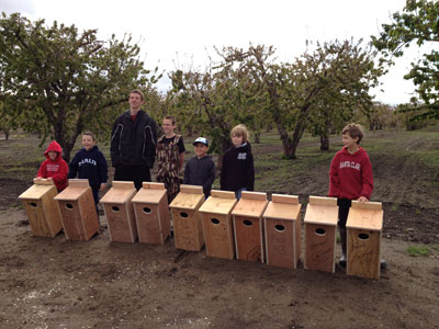 Santa Clara Cub Scouts from Pack 43 Help to Protect Nature