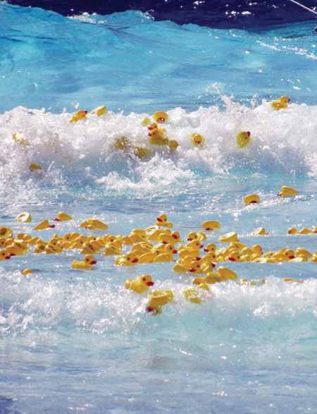 Ducky Derby