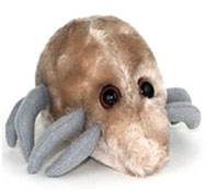 The Santa Clara Weekly's Holiday Gift Guide