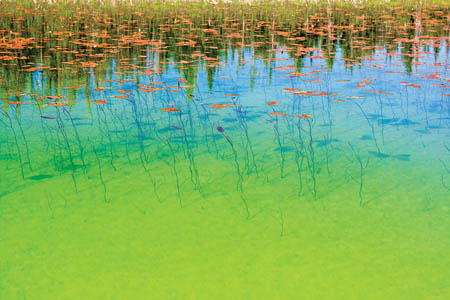 Yao-pi Hsu's Painterly Photographs Make Waves at Triton