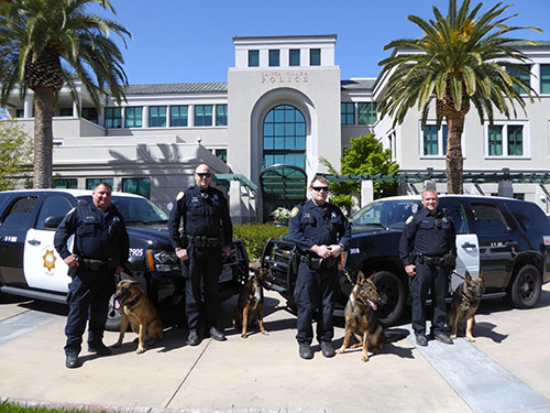 Game's On As Police K9s Sniff Out Crime